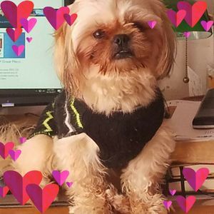 Meet your Posher, Gloria